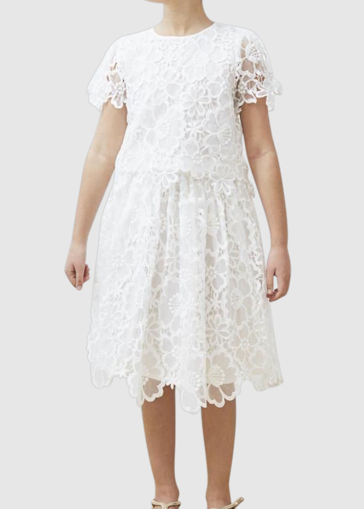 Petite Amalie Floral Lace Skirt